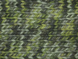 5009550003000000