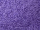 beaugencyviolette